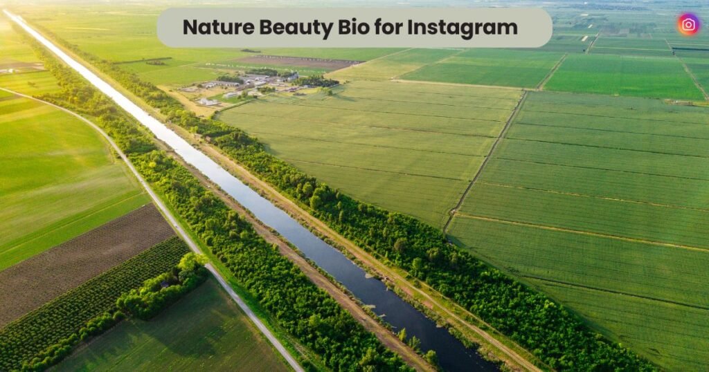 Nature Beauty Bio for Instagram