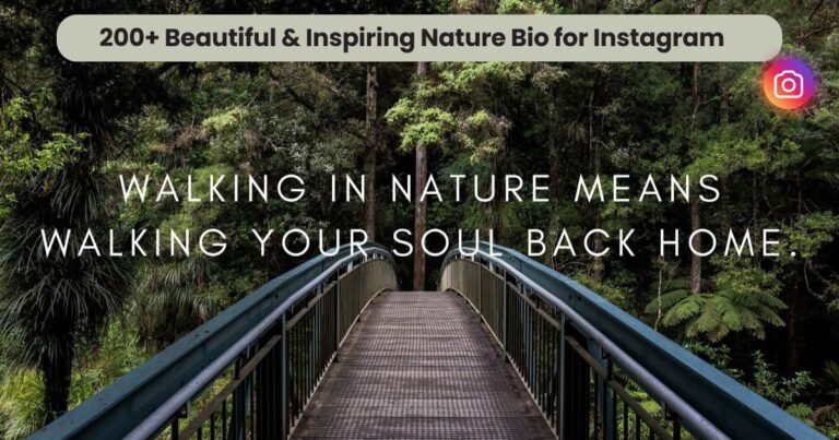 200+ Beautiful & Inspiring Nature Bio for Instagram 2025