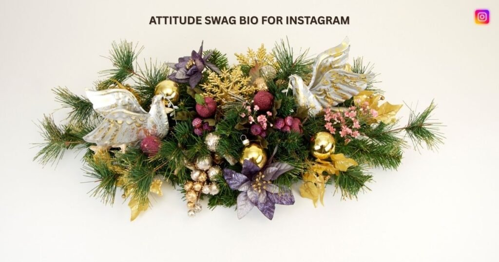 Attitude swag bio for Instagram