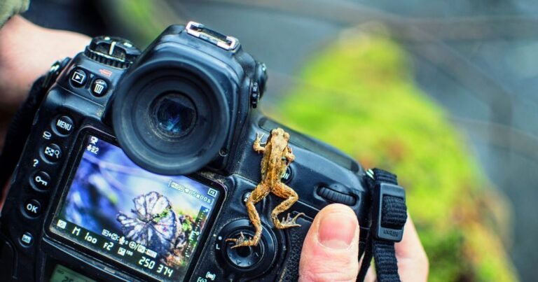 Photography Bio For Instagram