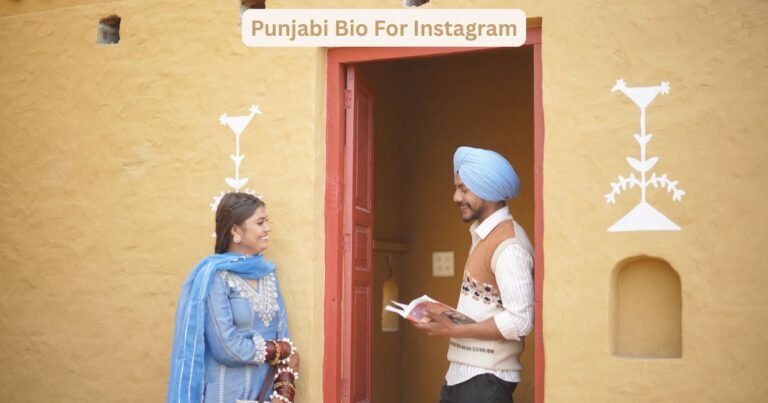Punjabi Bio For Instagram