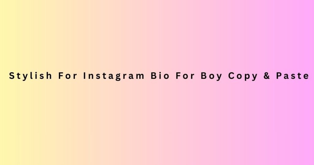 Stylish For Instagram Bio For Boy Copy & Paste