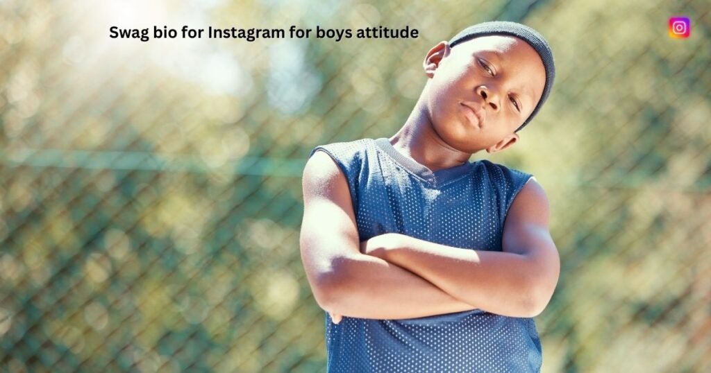 Swag bio for Instagram for boys attitude