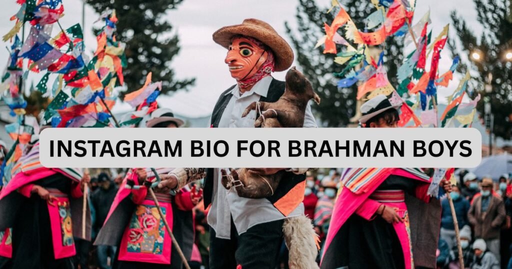 Instagram Bio For Brahman Boys