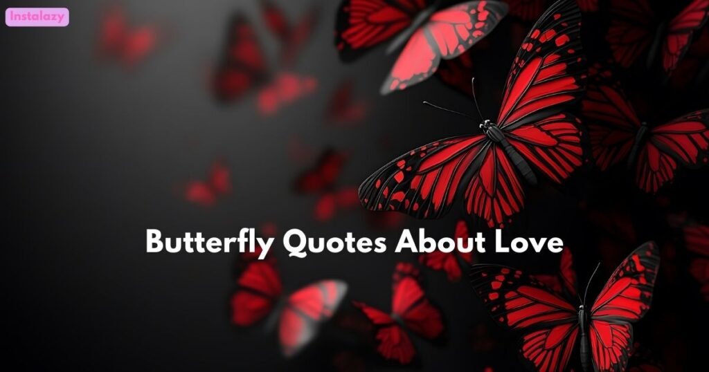 Butterfly Quotes About Love