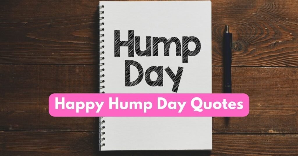 Happy Hump Day Quotes