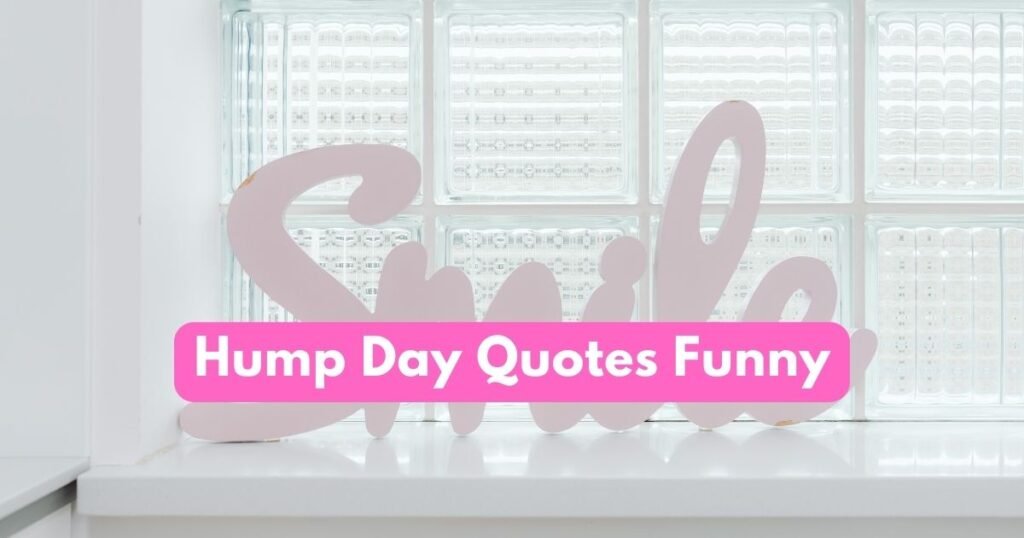 Hump Day Quotes Funny