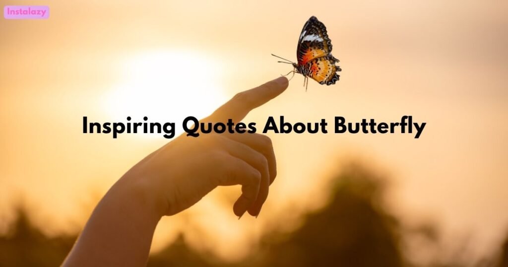Inspiring Quotes About Butterfly
