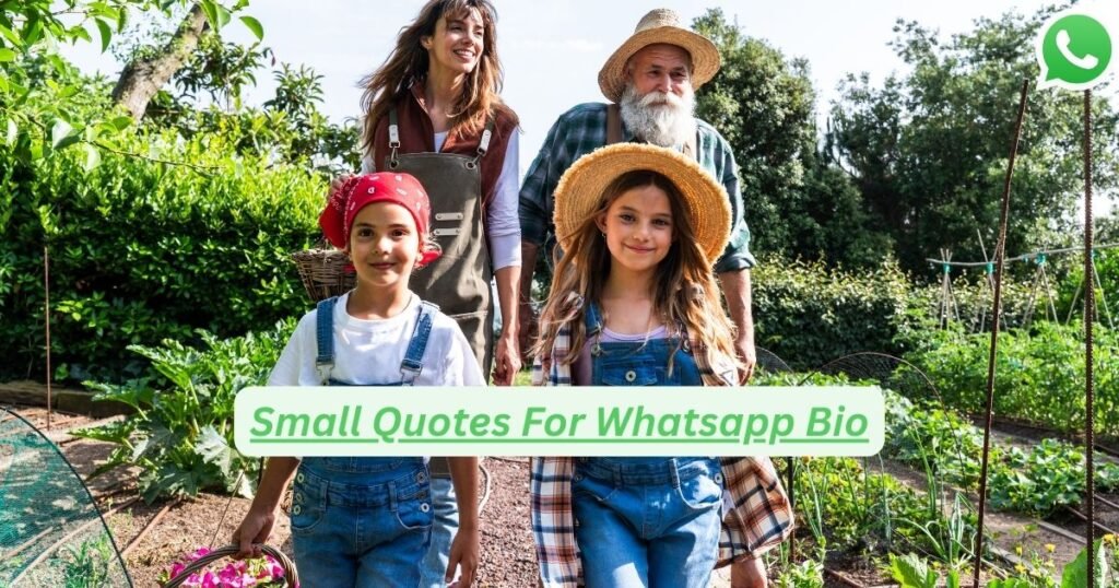 Small Quotes For Whatsapp Bio