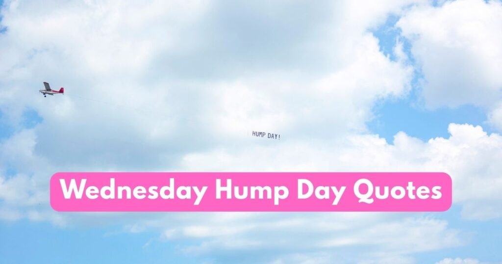 Wednesday Hump Day Quotes